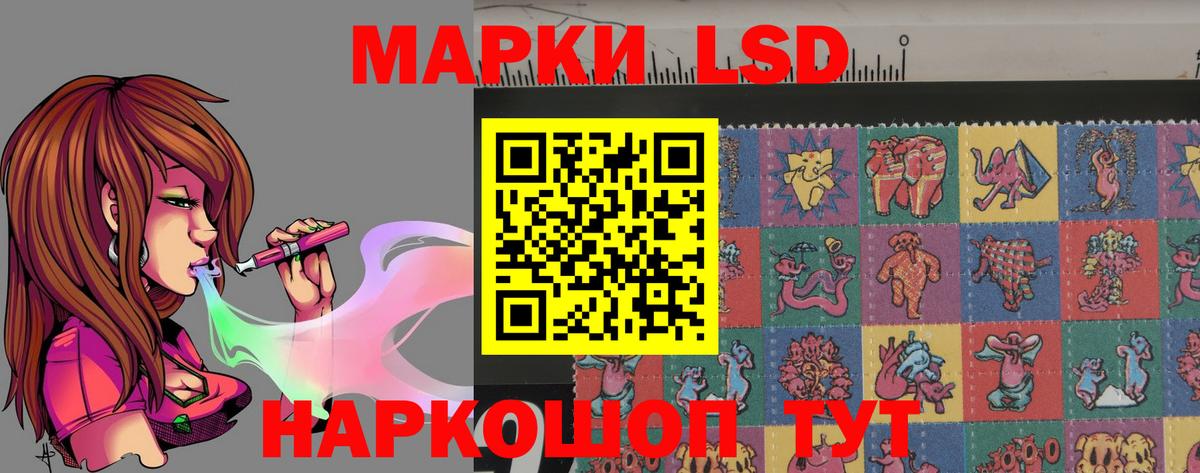 Бердск  ЛСД экстази ecstasy  Лсд 25 экстази  ЛСД экстази ecstasy  Вход с VPN 