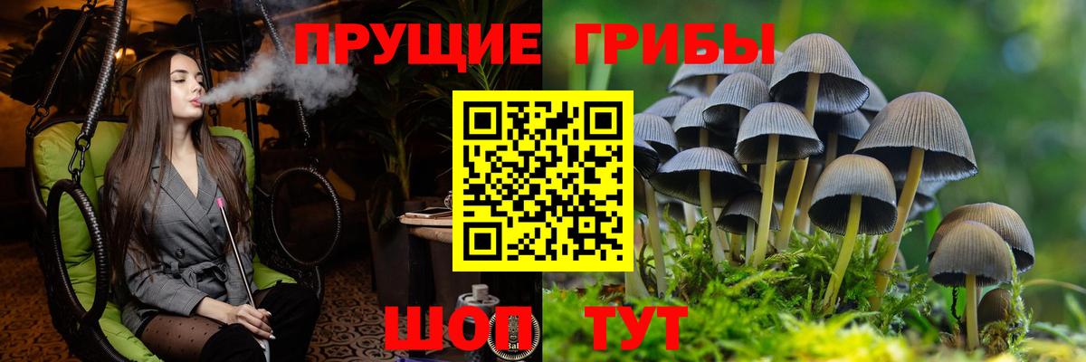 Псилоцибиновые грибы ЛСД  Вход с VPN  Галлюциногенные грибы прущие грибы  Бердск 