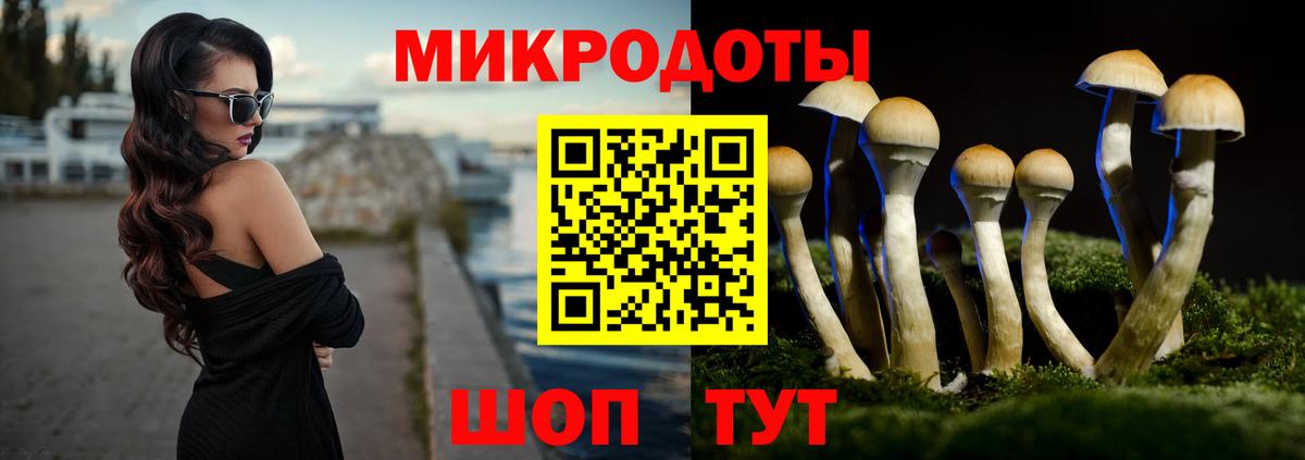 Галлюциногенные грибы мицелий Бердск